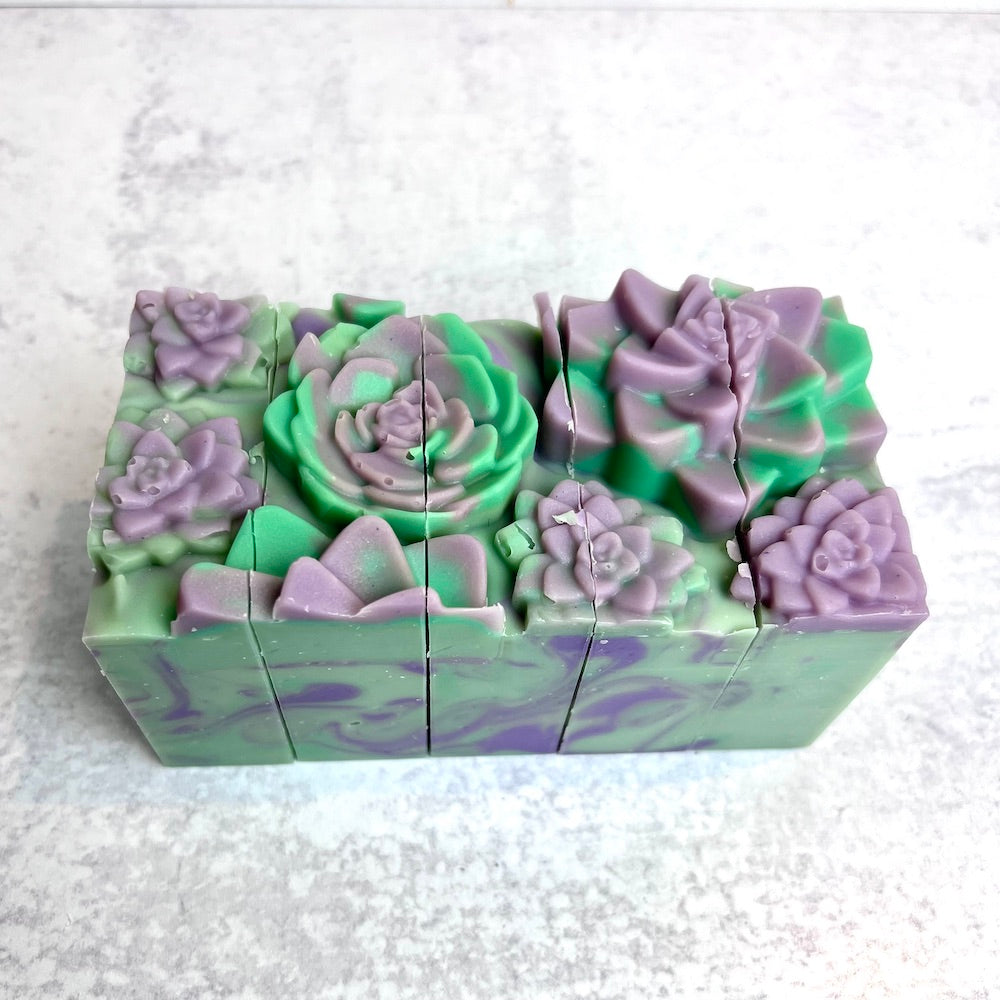 the succulent soapery Succulent Garden-Luxe Soap – Quench Alp